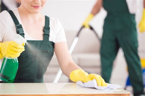 How Mascot Cleaning Services Can Help Prevent Allergic Reactions